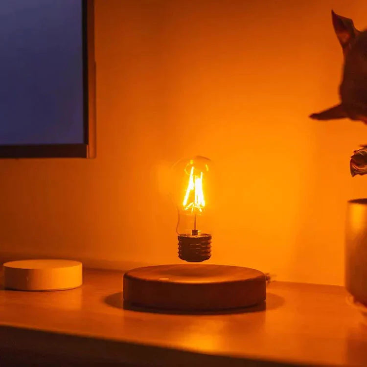 Magnetic Floating Bulb